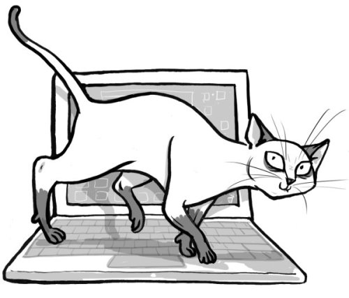 CodingCat